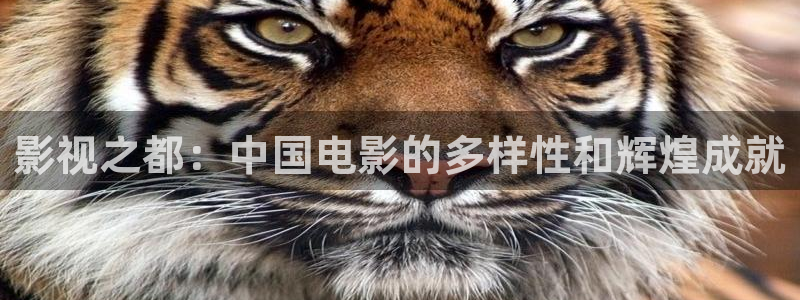 國產(chǎn)麻豆電影在線：影視之都：中國電影的多樣性和輝煌成就